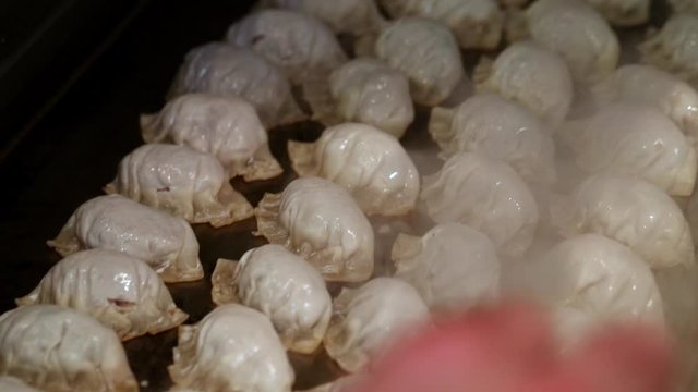 Chefs Cooking Gyoza  2