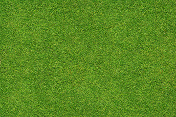 green grass texture