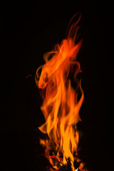 fire on black background