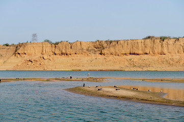 Long shot of Chambal river and birds, Rajasthan, India
