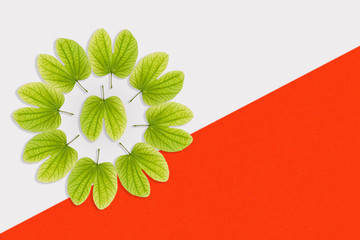 Dussehra greeting card using apta / Bauhinia racemosa