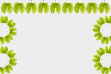 Dussehra greeting card using apta / Bauhinia racemosa