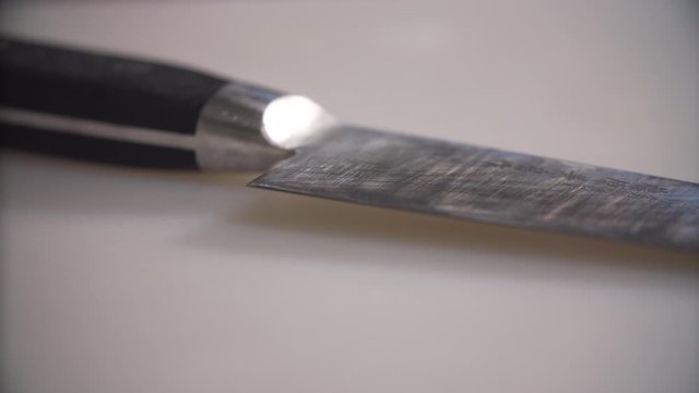 chef takes an owl a sharp knife