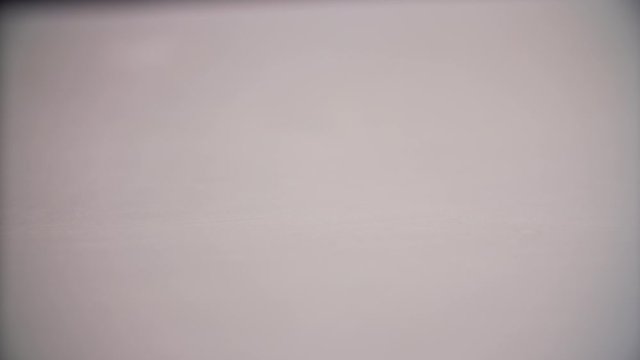 chef takes an owl a sharp knife