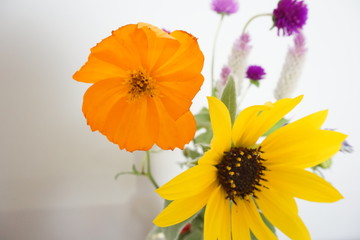 マリーゴールド　花