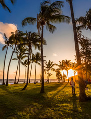 sunset on beach with trees and palm trees, Réunion Island 