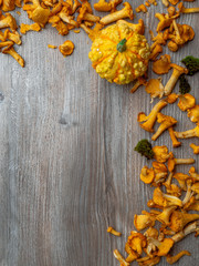 Yellow chanterelle cantharellus cibarius and pumpkin on rustic wooden background, autumn composition