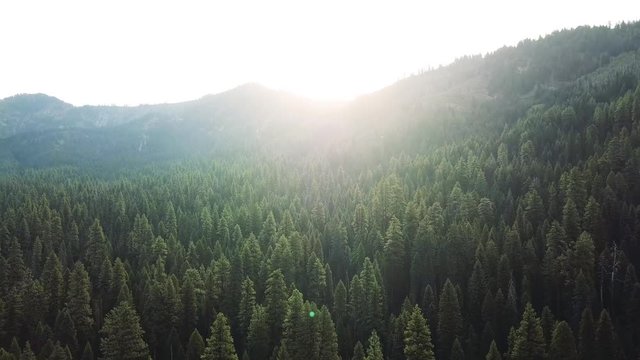 Soar over this Idaho forest as the sun peaks over the horizon casting white across the sky.