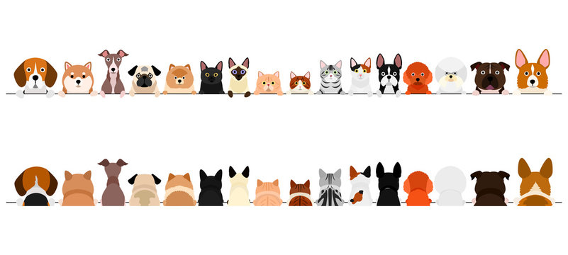 small  dogs and cats border set, upper body, front and back