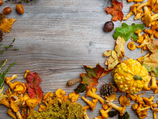 Still Life of a Variety of autumn Fall Nature Items in wooden table with copy space