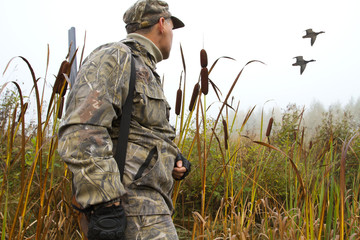 the hunter watches the ducks fly away - obrazy, fototapety, plakaty