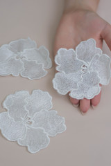 Texture flowers lace fabric. decir flowers on white background studio. thin fabric made of yarn or thread. a background image of ivory-colored lace flowers forcloth. White flowers on beige background.