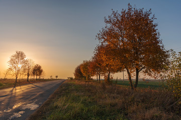Fototapeta na wymiar Beautiful sunset with warm sky on background of autumn trees