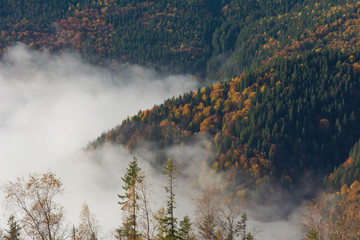 Fototapeta premium Autumn season in the Ukrainian Carpathian Mountains with beautiful fogs and fantastic views