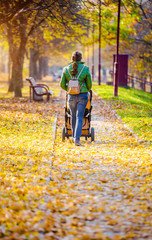 Mother wheeling a pram in the Park 