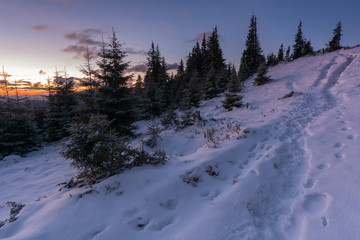 Winter landscapes of the Ukrainian Carpathian Mountains