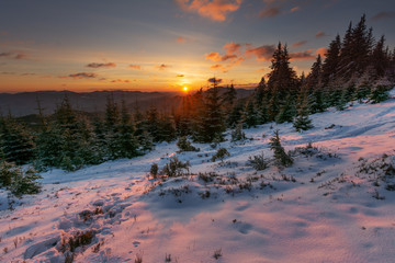 Winter landscapes of the Ukrainian Carpathian Mountains