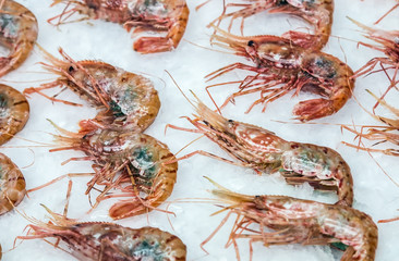 Royal prawns lie on the ice in the store or in the kitchen of a restaurant. Background seafood