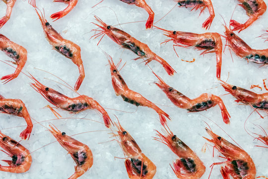 Pandalus borealis prawns lie on ice in the store or in the kitchen of a restaurant. Background seafood