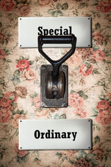 Street Sign Special versus Ordinary