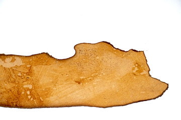 Old paper background with burnt edge