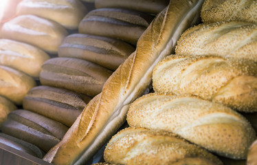 freshly baked bread of different types and varieties on the counter of the bakery