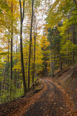 Fototapeta premium Fantastyczny wieczór w paśmie górskim Borzhava w ukraińskich Karpatach w środku jesieni