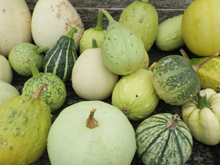 collection of decorative green pumpkins laying on a wooden shelf near the road