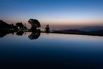 水田に映り込む夜明けの空と樹木