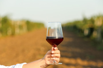 Woman with glass of tasty wine in vineyard
