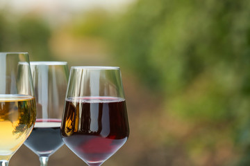 Glasses of tasty wine in vineyard