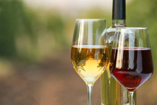 Glasses and bottle of tasty wine in vineyard
