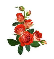 Fototapeta premium Orange rose flowers and buds in a corner arrangement