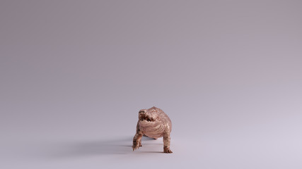 Bronze Crocodile Front View 3d Illustration 3d render