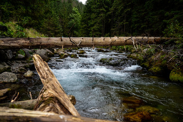 High mountain wild river in national park forest, peacefull fall spring landscape 