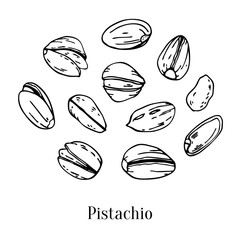 Set of different pistachios. Hand drawn outline vector sketch illustration