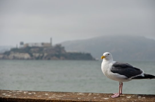 Another day in San Francisco