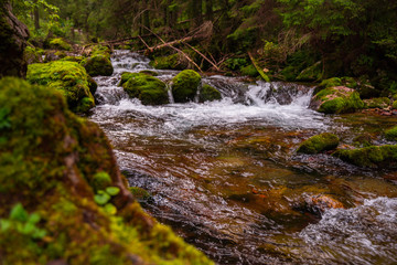 High mountain wild river in national park forest, peacefull fall spring landscape 