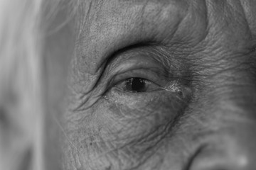 Close up portrait of 80 years old Thai woman in black and white	