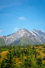 Fototapeta premium High Tatra mountain autumn sunny day, relaxing landscape, alp view