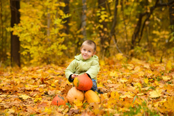 boy in jacket sits and hugs pumpkin in autumn yellow fallen leaves with pumpkins in park