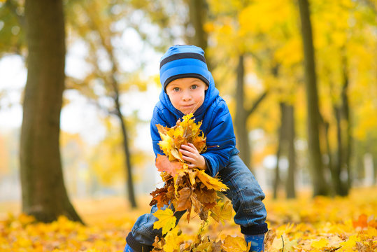boy in blue jacket and hat raking an armful of yellow maple leaves in an autumn park