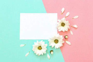 Obraz premium White chrysanthemum with paper on a mint and pink background