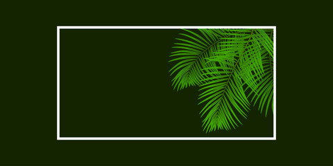 Vector background with palm tree leaves