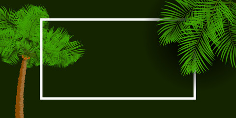 Vector background with palm tree and palm tree leaves
