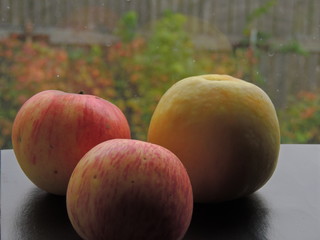 Apples on a maple leaf background.Autumn harvest.