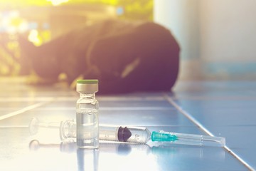 Vaccine Rabies Bottle and Syringe Needle Hypodermic Injection,Immunization rabies and Dog Animal Diseases,Medical Concept with Dog blurred Background.Selective Focus Vaccine vial