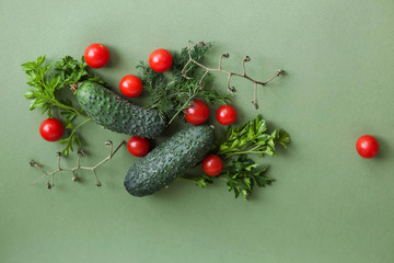 Flat lay composition with fresh cucumber, green-stuff and tomatoes on green background with copy cpace