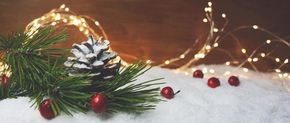 Weihnachtlicher und Winterlicher Hintergrund mit Lichterkette und Zapfen im Schnee