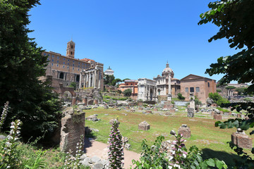View of the Roman Forum looking towards the Arch of Septimus Severus, and the Senate Building